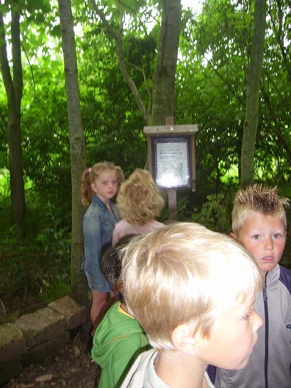 070612 skoalreiske beukers 009.jpg